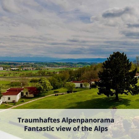 Auszeit Apartment Alpenblick Oberteuringen エクステリア 写真